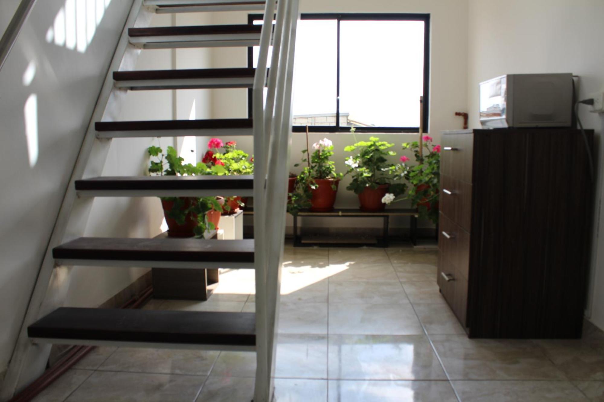 קיטו Julius Hostal, Desde Las 14 Horas Hasta 12 Del Mediodia מראה חיצוני תמונה